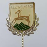 Fussball Anstecknadel Ehrennadel TSV Wolnzach 1884 FV Bayern Oberbayern