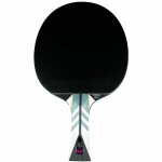 Butterfly 1x Timo Boll Vision 3000...