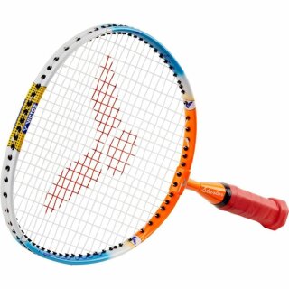 Victor Badminton Set Starter
