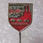 Eishockey Anstecknadel - EV Regensburg - Bayern - Oberpfalz