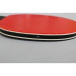 Donic Tischtennisschläger Carbotec 900 (40)